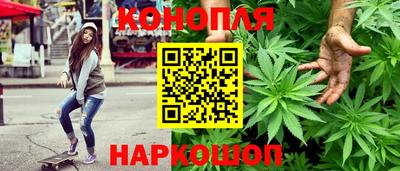 прущие крисы Малгобек