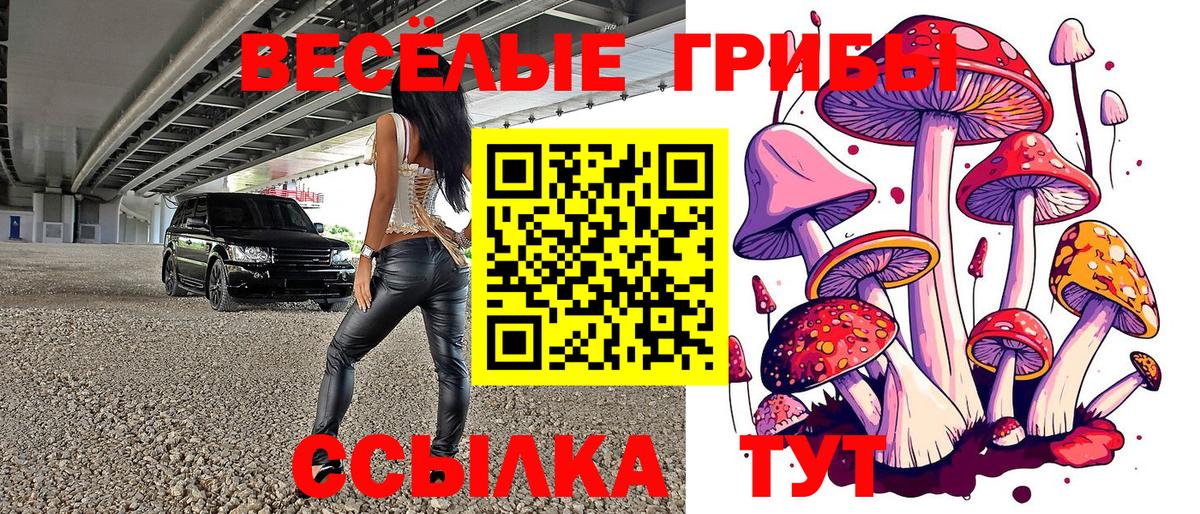 Дедовск  Псилоцибиновые грибы Cubensis  Галлюциногенные грибы Magic Shrooms  Вход с VPN 